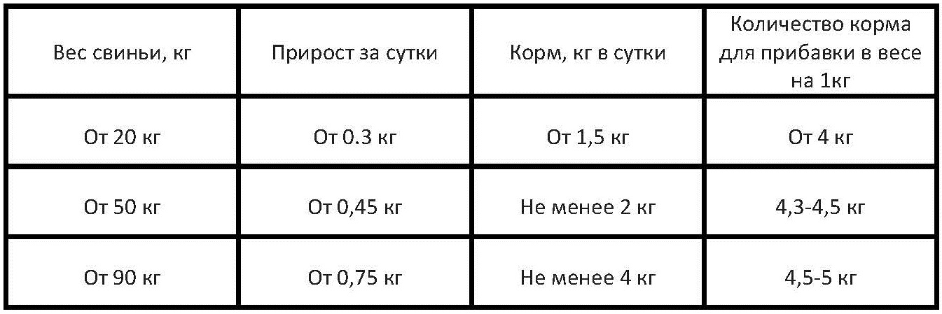 суточный рацион для свиней