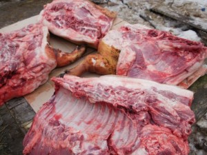 качество мяса свиньи