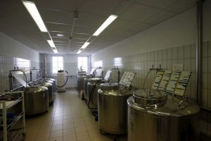 станция искусственного осеменения свиней