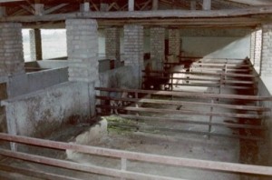 свинарник своими руками