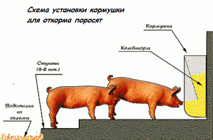 кормушка для свиней своими руками