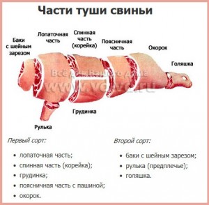 части туши свиньи