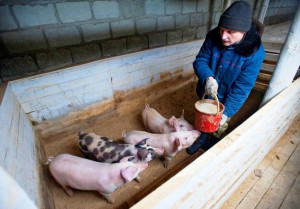 рабочий персонал для бизнеса