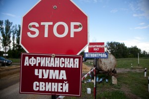 карантинный пост